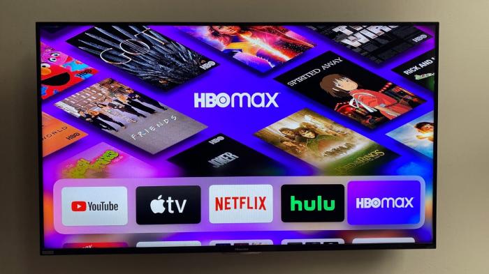 7 Easy Steps to Fix HBO Max Not Working on Roku in 2022
