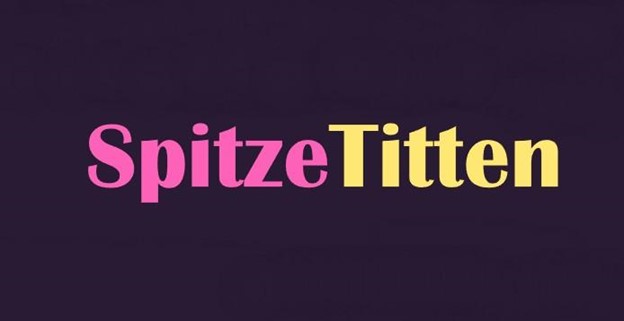 Spitze Titten.com'dan video indirmek için en iyi 5 en iyi indirici